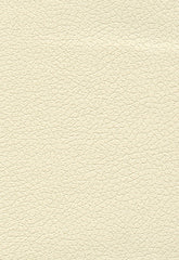FSchumacher Fabric 303-3866 Brisa French Vanilla