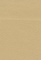 FSchumacher Fabric 303-3867 Brisa Golden