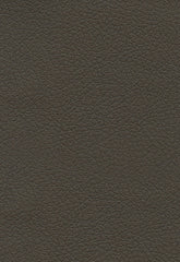 FSchumacher Fabric 303-3913 Brisa Truffle