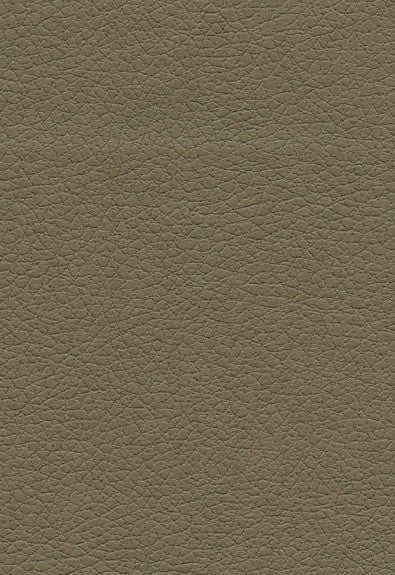 FSchumacher Fabric 303-3914 Brisa Bark