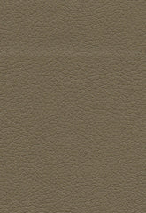 FSchumacher Fabric 303-3914 Brisa Bark