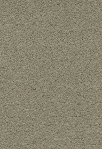FSchumacher Fabric 303-3915 Brisa Fedora