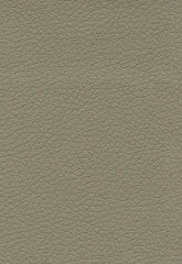 FSchumacher Fabric 303-3915 Brisa Fedora