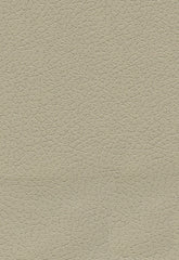 FSchumacher Fabric 303-3946 Brisa Sand