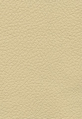 FSchumacher Fabric 303-3960 Brisa Camel