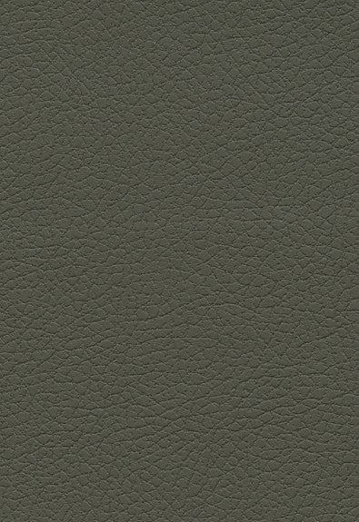 FSchumacher Fabric 303-4488 Brisa Olive