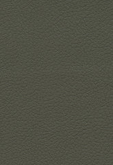 FSchumacher Fabric 303-4488 Brisa Olive
