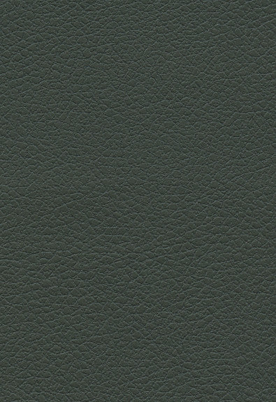 FSchumacher Fabric 303-4489 Brisa Spruce