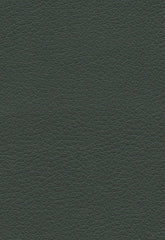 FSchumacher Fabric 303-4489 Brisa Spruce
