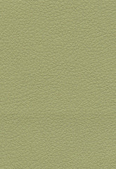 FSchumacher Fabric 303-4510 Brisa Celery