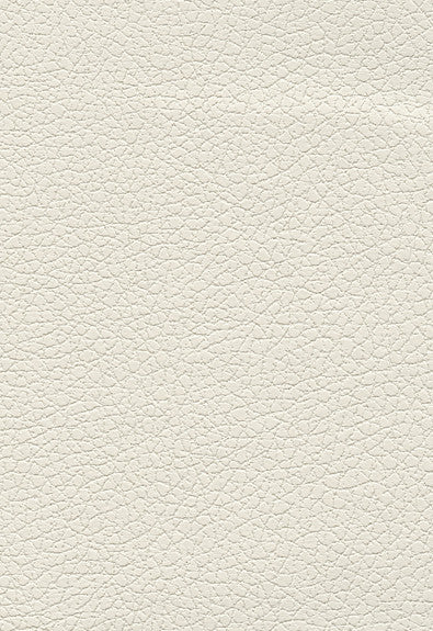 FSchumacher Fabric 303-5747 Brisa White