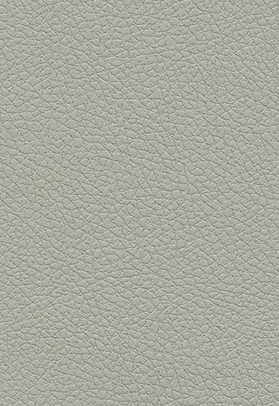 FSchumacher Fabric 303-5820 Brisa Quicksilver