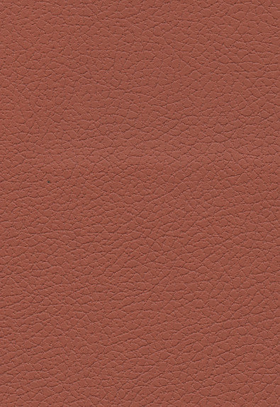 FSchumacher Fabric 303-8245 Brisa Cinnabar