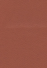 FSchumacher Fabric 303-8245 Brisa Cinnabar