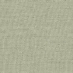 FSchumacher Fabric 3123011 Indochine Stone