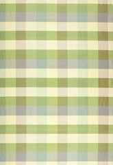 FSchumacher Fabric 3124001 Burma Hyacinth