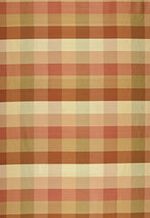 FSchumacher Fabric 3124003 Burma Earth