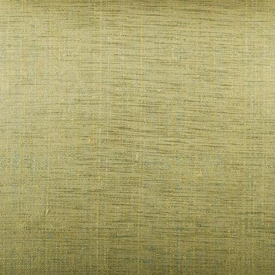 Duralee Fabric 32175-546 Key Lime