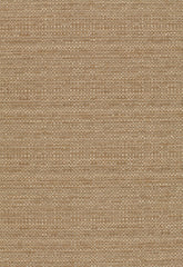 FSchumacher Fabric 3260071 Hemp Texture Pecan