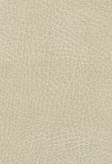 FSchumacher Fabric 335-3021 Brisa Distressed Putty