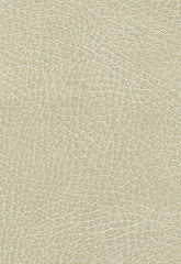 FSchumacher Fabric 335-3021 Brisa Distressed Putty