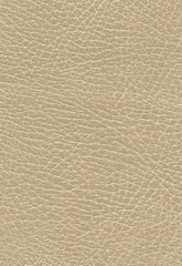 FSchumacher Fabric 335-3024 Brisa Distressed Chamois
