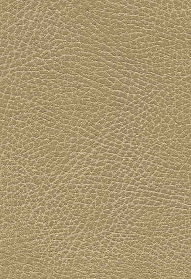 FSchumacher Fabric 335-3134 Brisa Distressed Buckskin