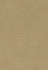FSchumacher Fabric 335-3134 Brisa Distressed Buckskin