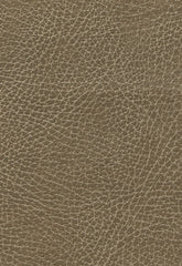 FSchumacher Fabric 335-3137 Brisa Distressed Saddle