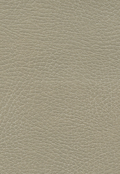 FSchumacher Fabric 335-3869 Brisa Distressed Dune