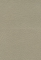 FSchumacher Fabric 335-3869 Brisa Distressed Dune