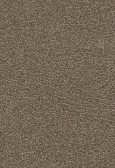 FSchumacher Fabric 335-3871 Brisa Distressed Moccasin