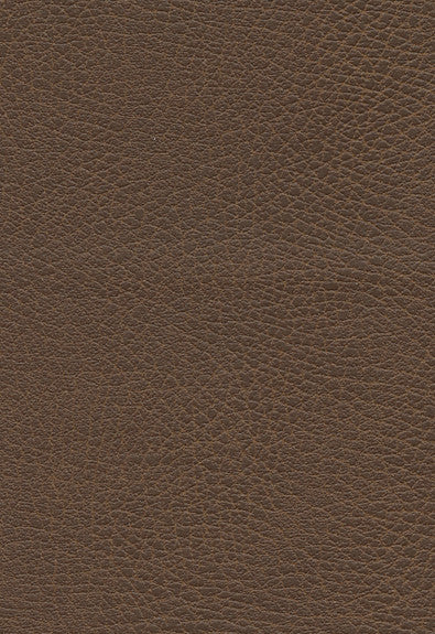 FSchumacher Fabric 335-3976 Brisa Distressed Bridle