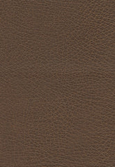 FSchumacher Fabric 335-3976 Brisa Distressed Bridle