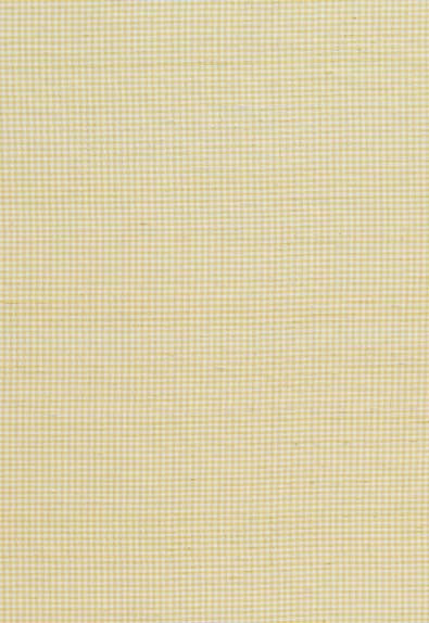 FSchumacher Fabric 3449001 Dalton Silk Gingham Straw