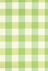 FSchumacher Fabric 3455002 Montgomery Silk Plaid Parrot