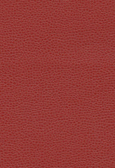 FSchumacher Fabric 363-1387 Promessa Lacquer