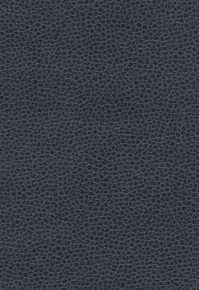 FSchumacher Fabric 363-2680 Promessa Atlantic