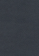 FSchumacher Fabric 363-2680 Promessa Atlantic