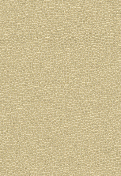FSchumacher Fabric 363-3036 Promessa Linen