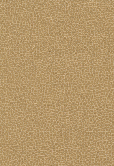 FSchumacher Fabric 363-3139 Promessa Cashmere