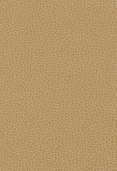 FSchumacher Fabric 363-3139 Promessa Cashmere