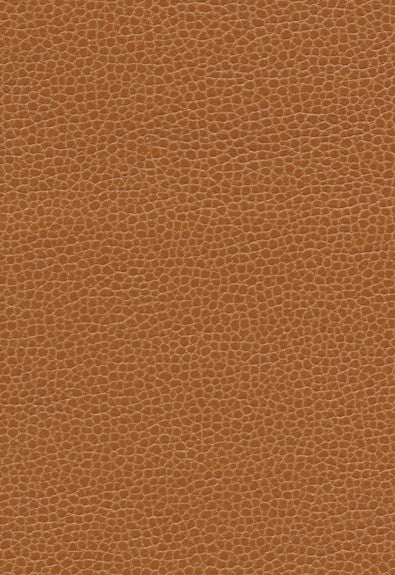 FSchumacher Fabric 363-3140 Promessa Saddle