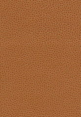 FSchumacher Fabric 363-3140 Promessa Saddle