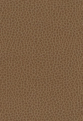 FSchumacher Fabric 363-3141 Promessa Fields
