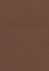 FSchumacher Fabric 363-3143 Promessa Tudor