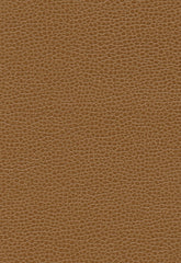 FSchumacher Fabric 363-3145 Promessa Bronze