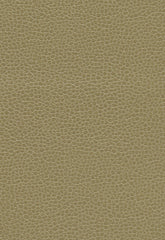 FSchumacher Fabric 363-3148 Promessa Briarwood