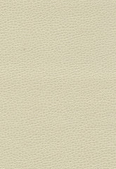 FSchumacher Fabric 363-3152 Promessa Parchment