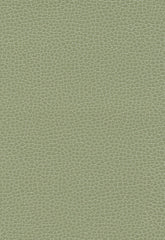 FSchumacher Fabric 363-4458 Promessa Sage